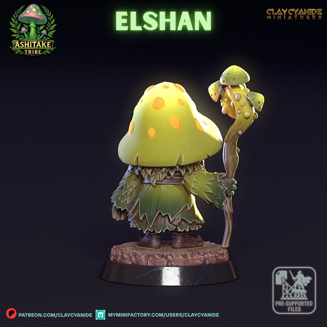 Mushroom Elshan