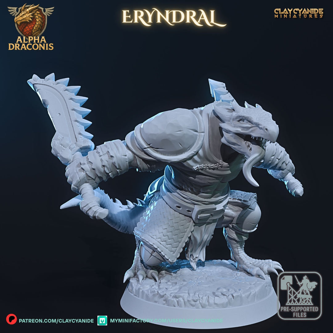 Eryndral - Draconic Berzerker