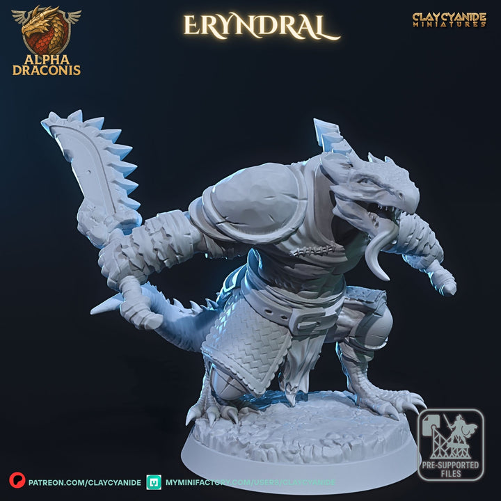 Eryndral - Draconic Berzerker