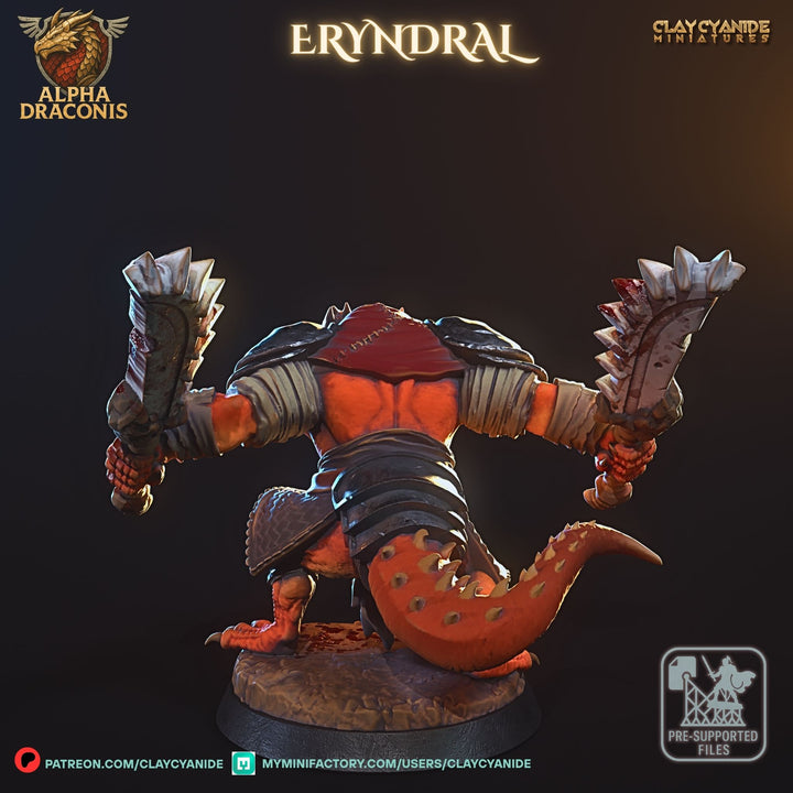 Eryndral - Draconic Berzerker