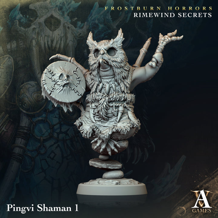 Pingvi Shaman unpainted resin fantasy miniature by Archvillain Games, 28-32mm DnD tabletop model.