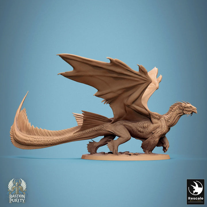 Bronze Dragon