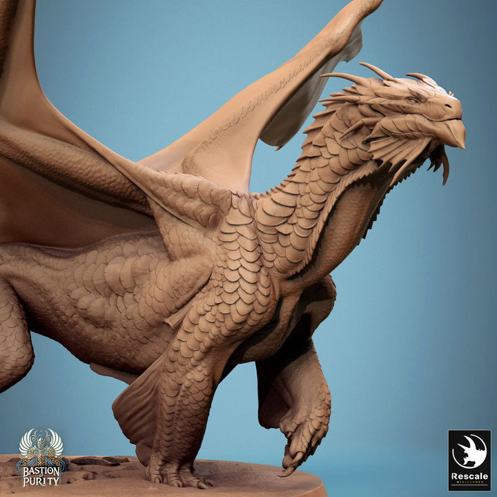Bronze Dragon
