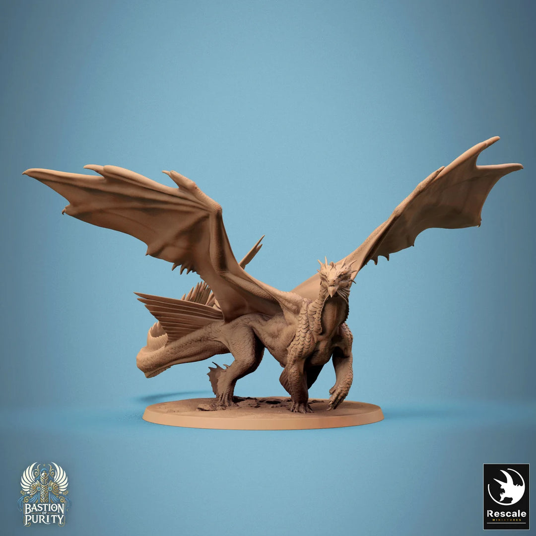 Bronze Dragon