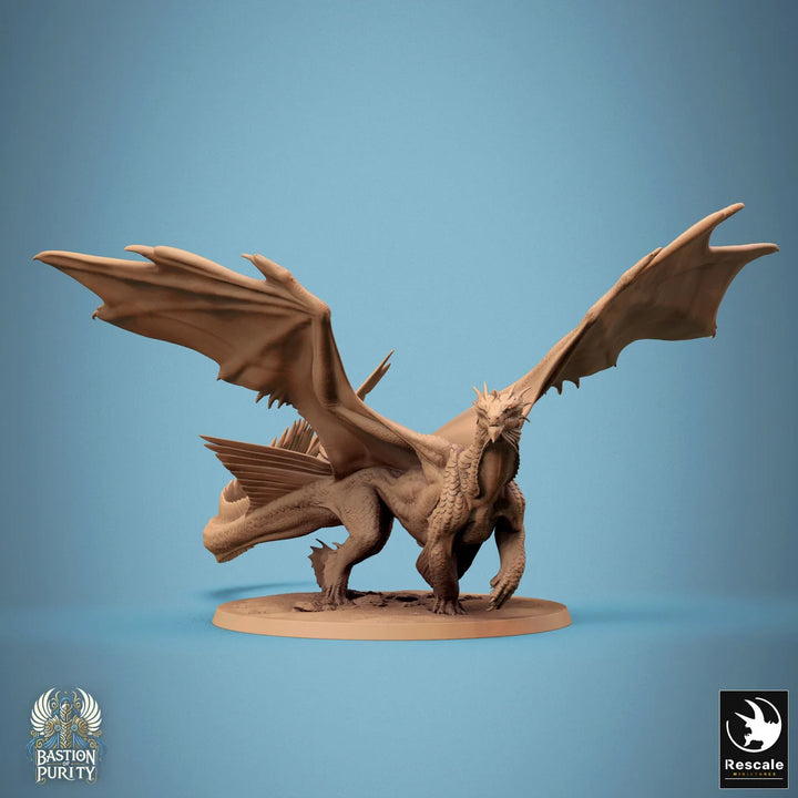 Bronze Dragon