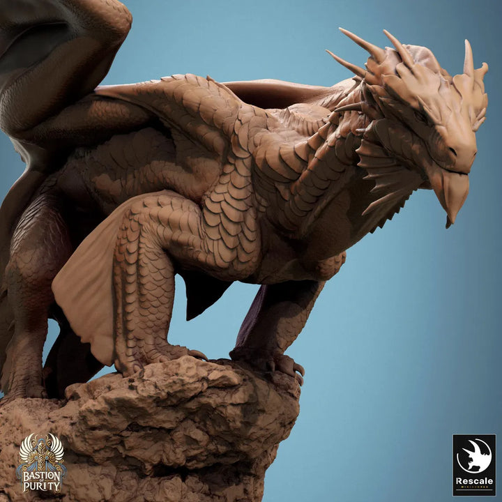 Bronze Dragon