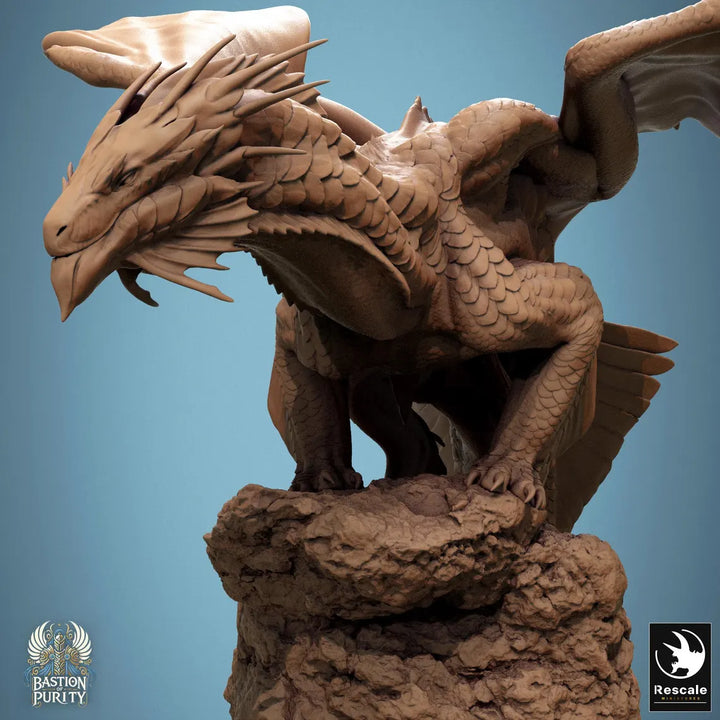 Bronze Dragon
