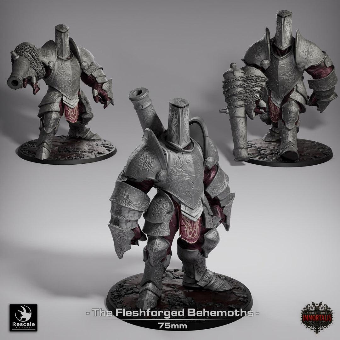 Fleshforged Behemoths unpainted resin character miniature by Rescale Miniatures, 28-32mm DnD tabletop model.