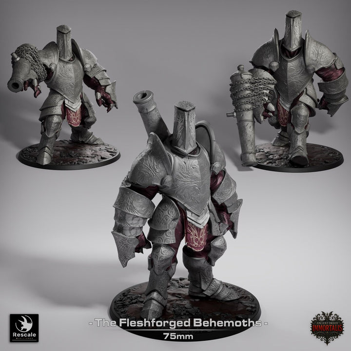 Fleshforged Behemoths unpainted resin character miniature by Rescale Miniatures, 28-32mm DnD tabletop model.