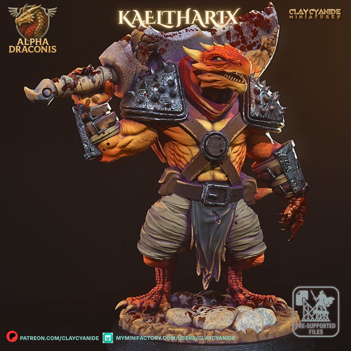 Kaeltharix - Draconic Fighter