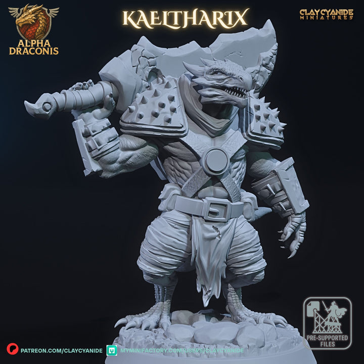 Kaeltharix - Draconic Fighter