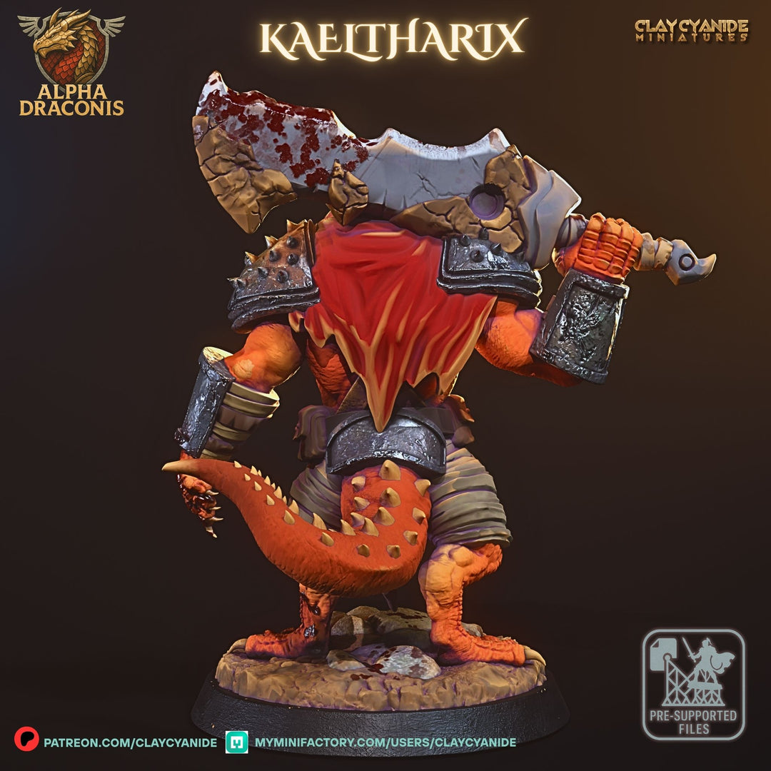 Kaeltharix - Draconic Fighter