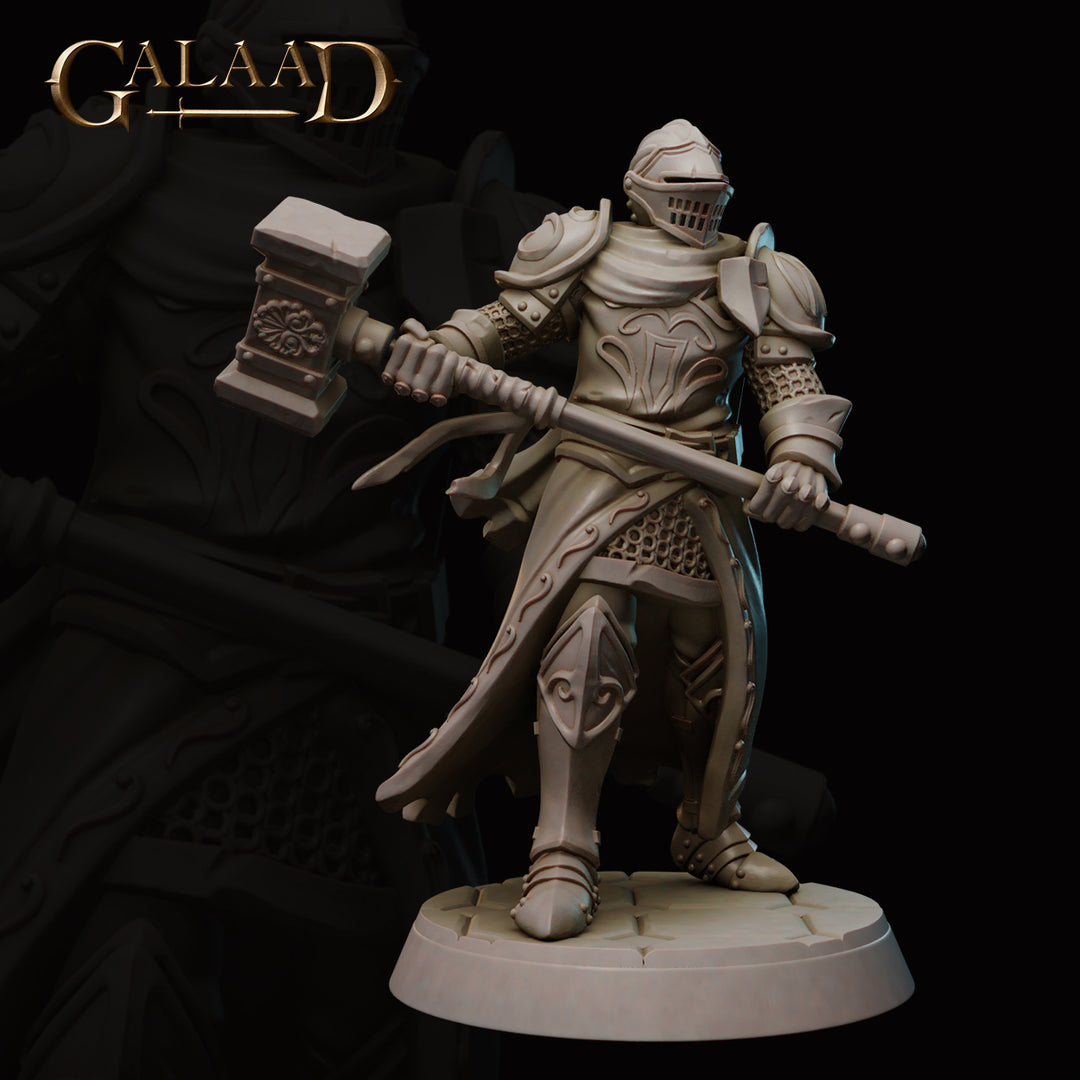 Knight Warband Bundle