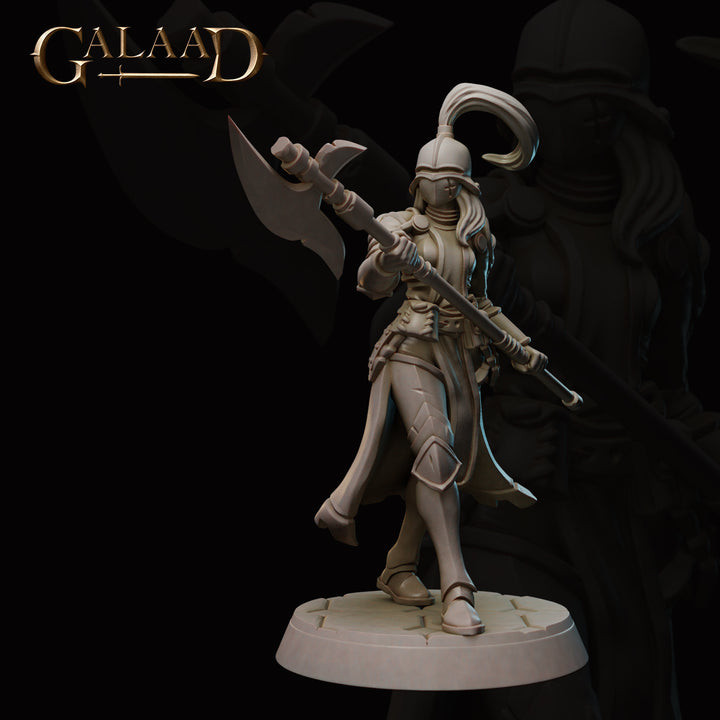 Knight Warband Bundle