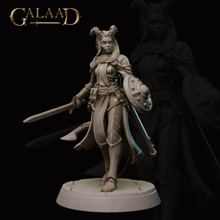 Knight Warband Bundle