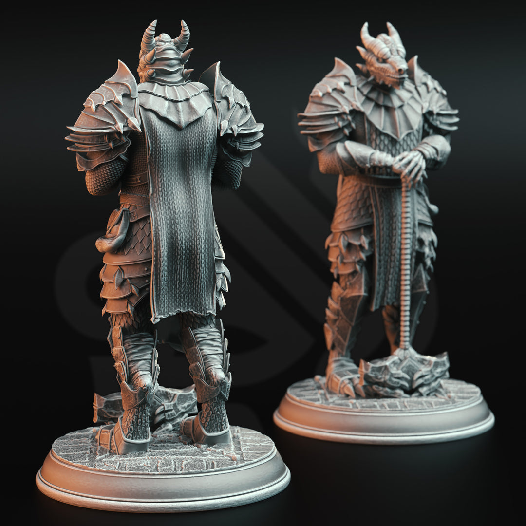 Dragonbron Warriors - Dragon Knight Squad