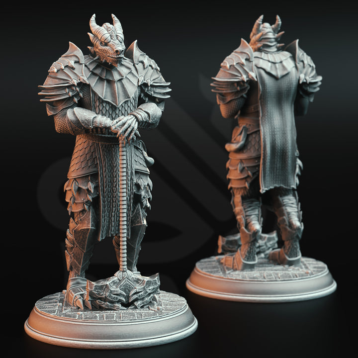 Dragonbron Warriors - Dragon Knight Squad