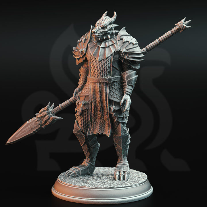 Dragonbron Warriors - Dragon Knight Squad