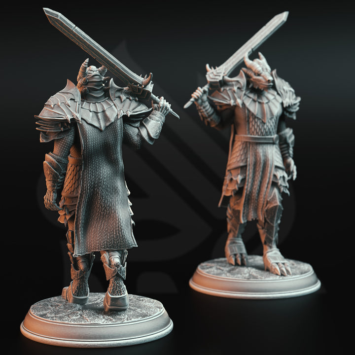 Dragonbron Warriors - Dragon Knight Squad
