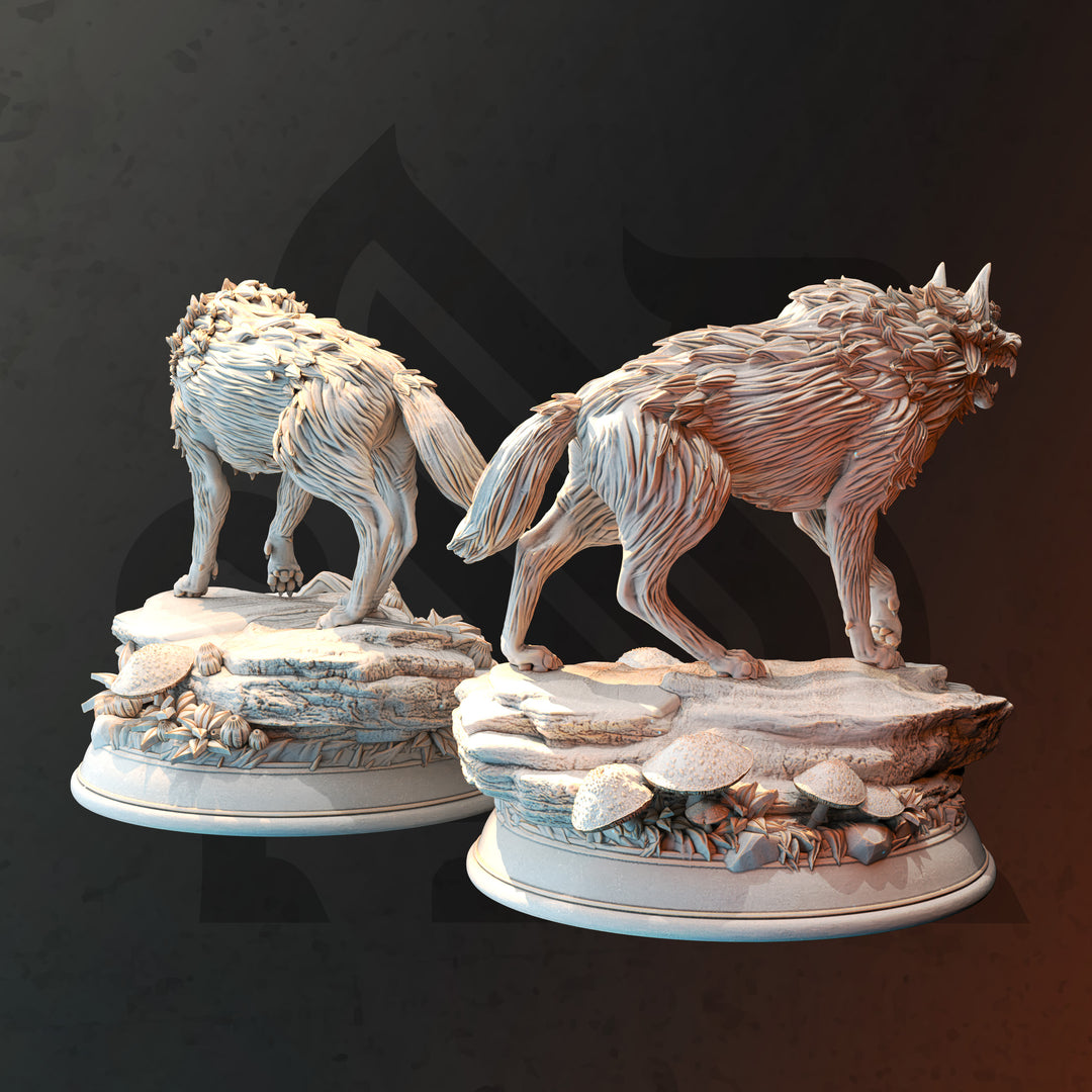 Pack of Northern Direwolves