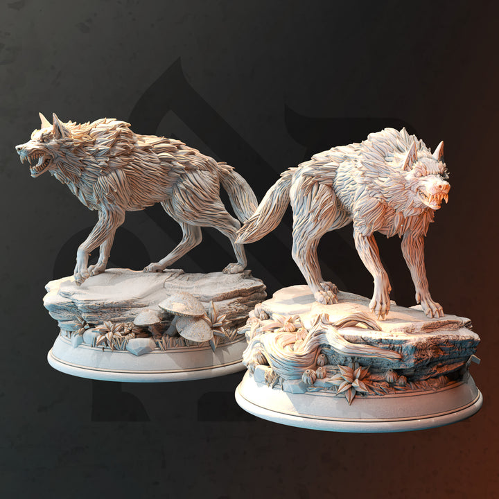 Pack of Northern Direwolves