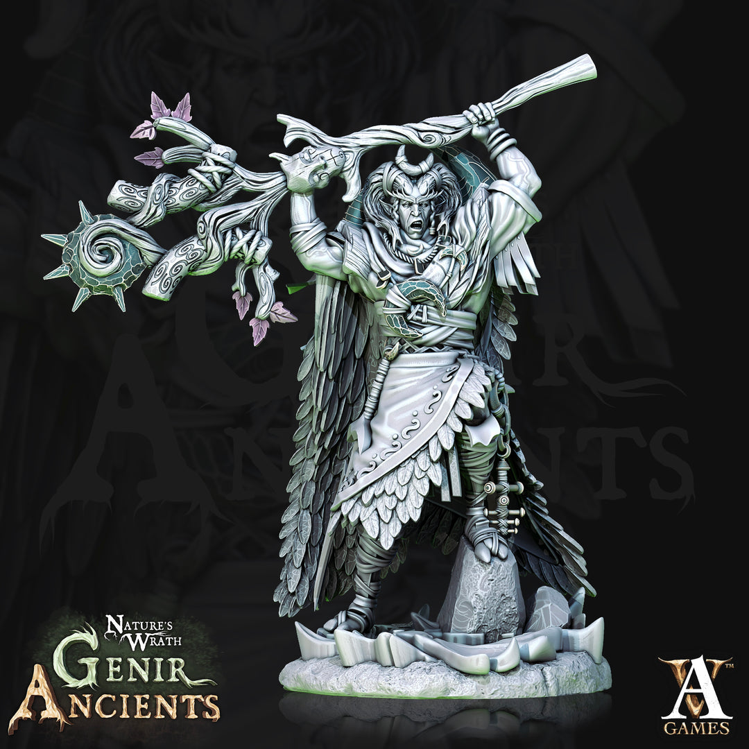 Grovebird Druids