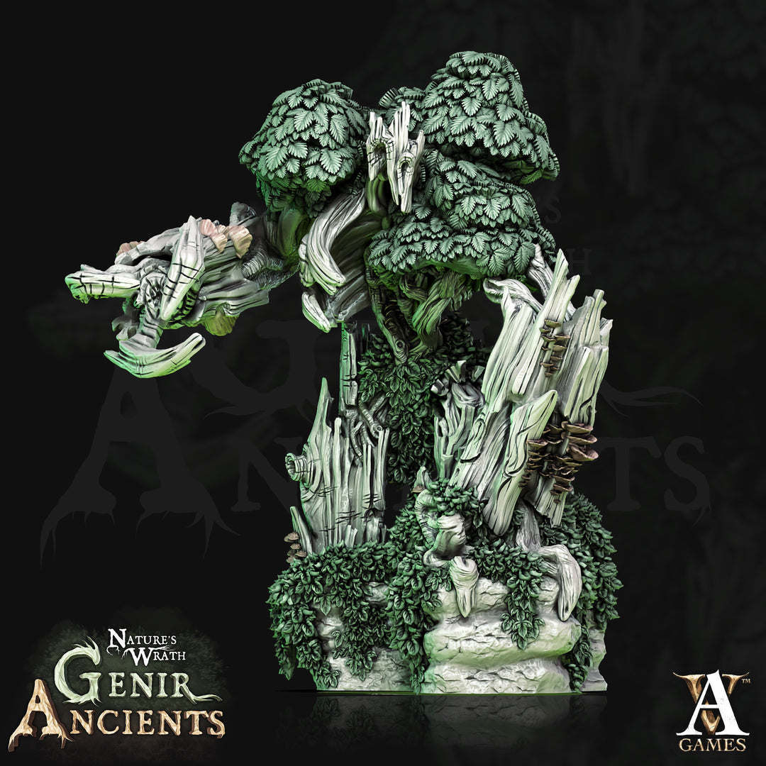 Young Treant unpainted resin treant miniature by Archvillain Games, 28-32mm DnD tabletop model.