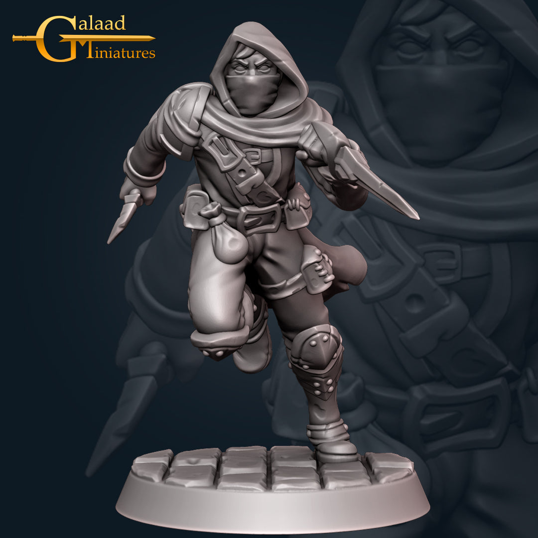 Rogues Bundle