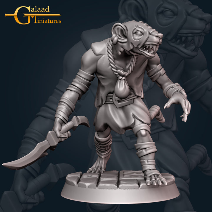 Rogues Bundle