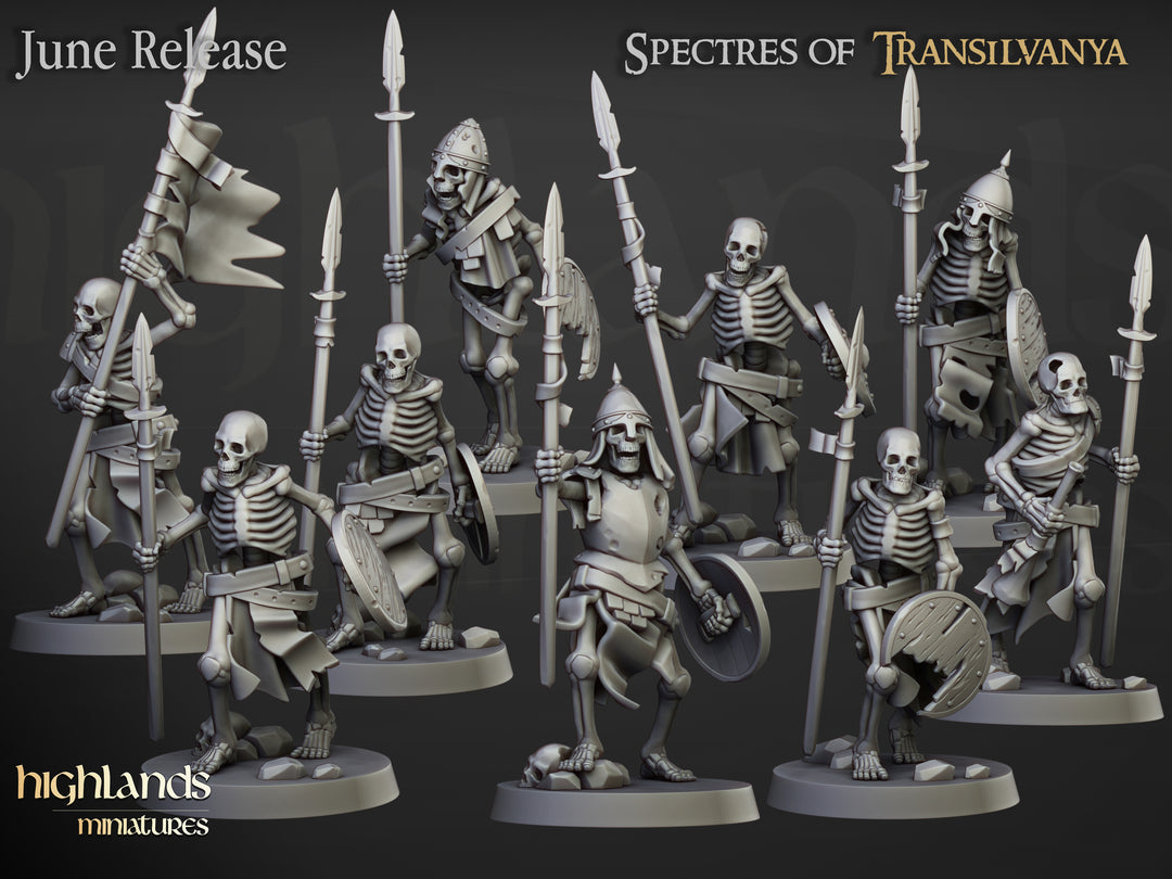 Skeleton Spearmen unpainted resin undead miniature by Highlands Miniatures, 28-32mm DnD tabletop model.