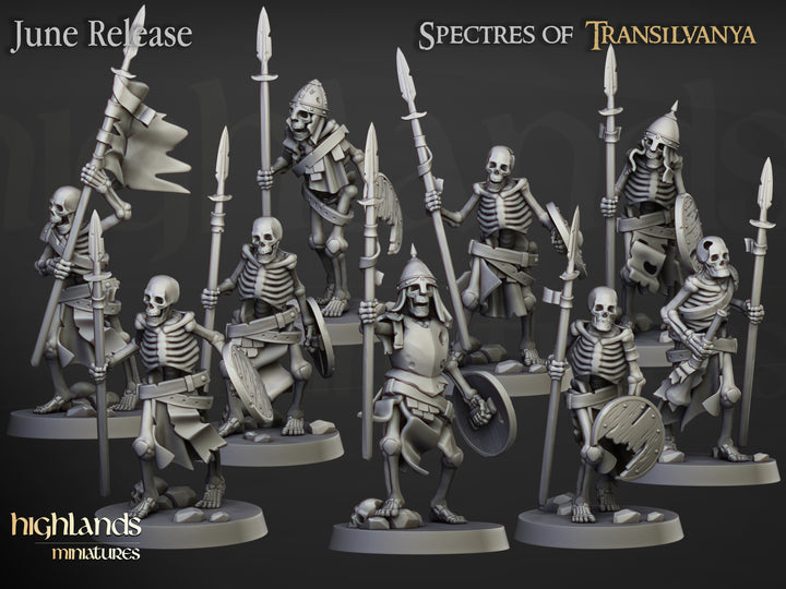 Skeleton Spearmen unpainted resin undead miniature by Highlands Miniatures, 28-32mm DnD tabletop model.