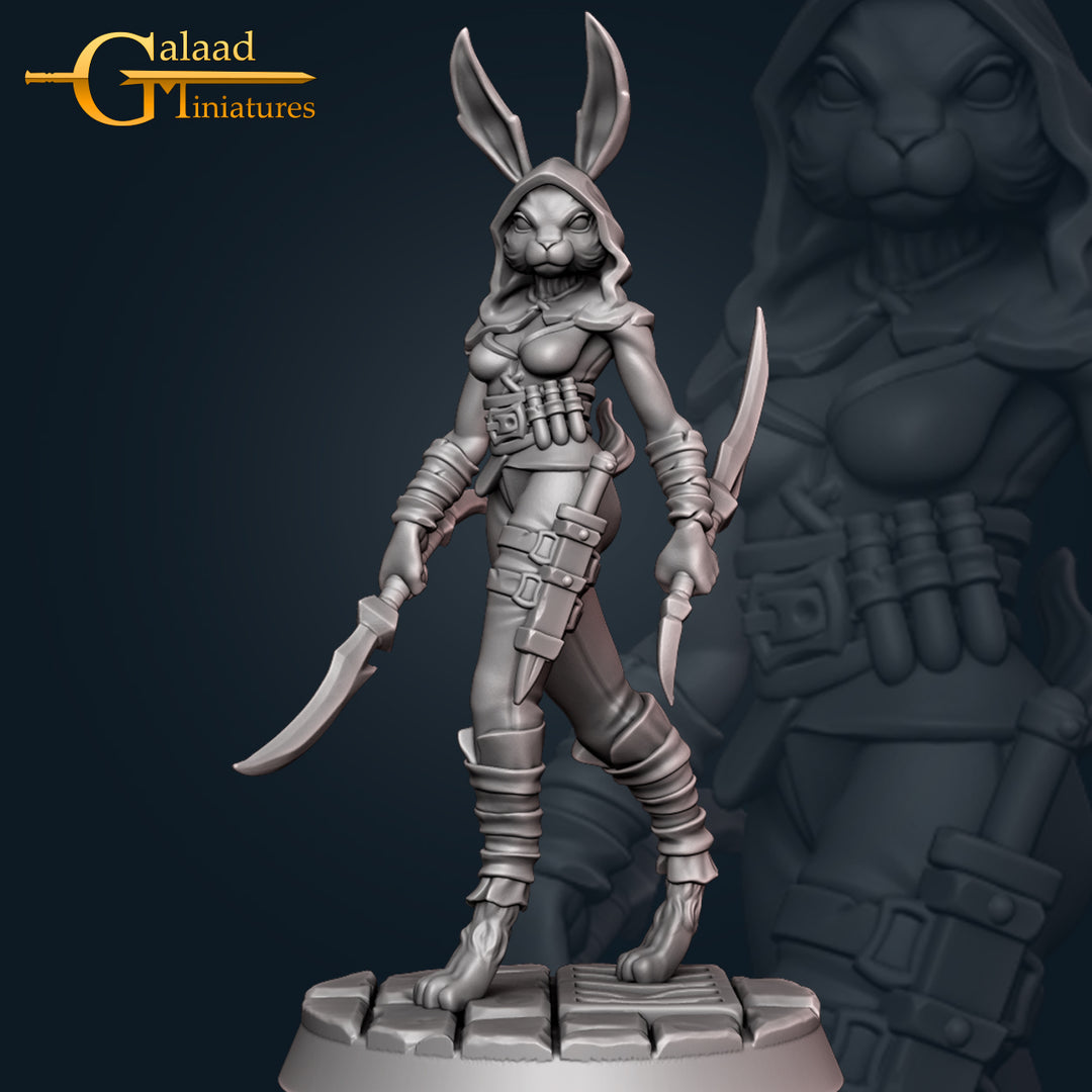 Rogues Bundle