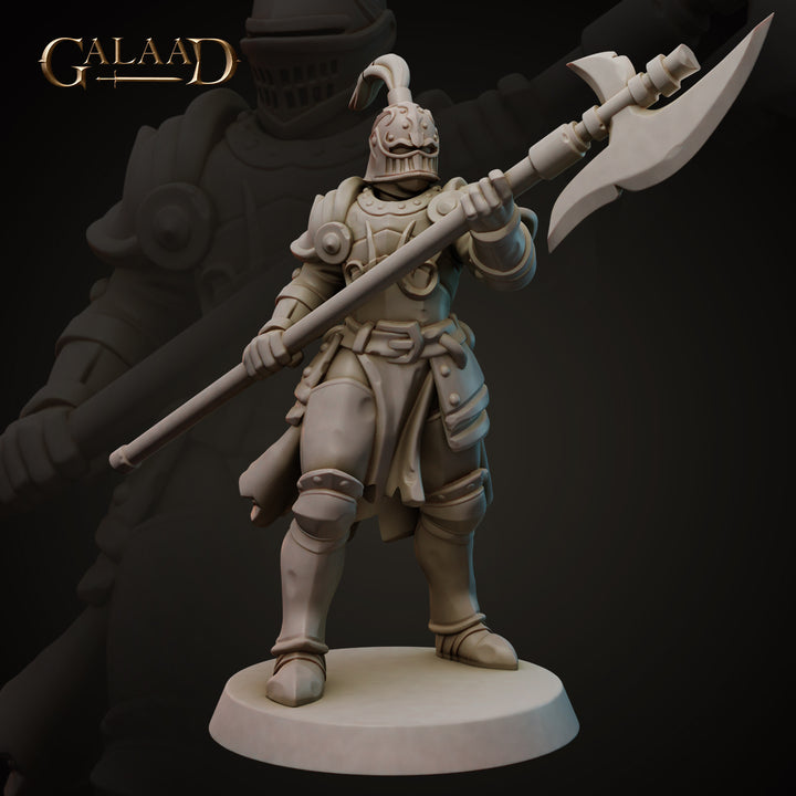 Knights Bundle