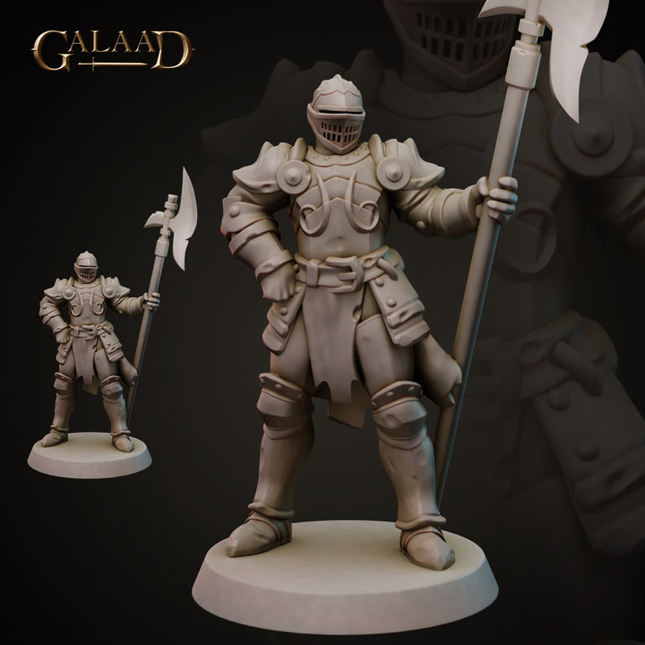 Knights Bundle