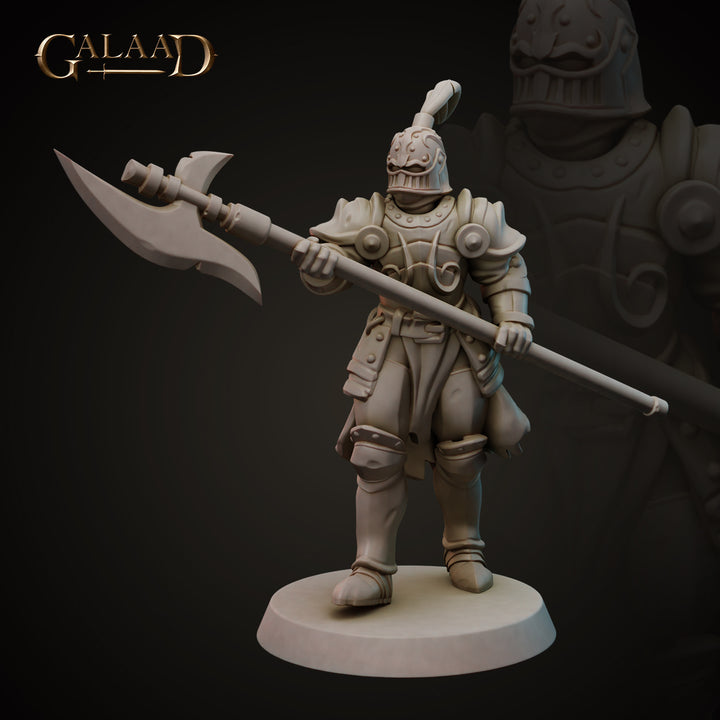 Knights Bundle