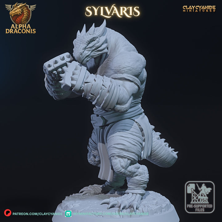 Sylvaris - Draconic Pugilist