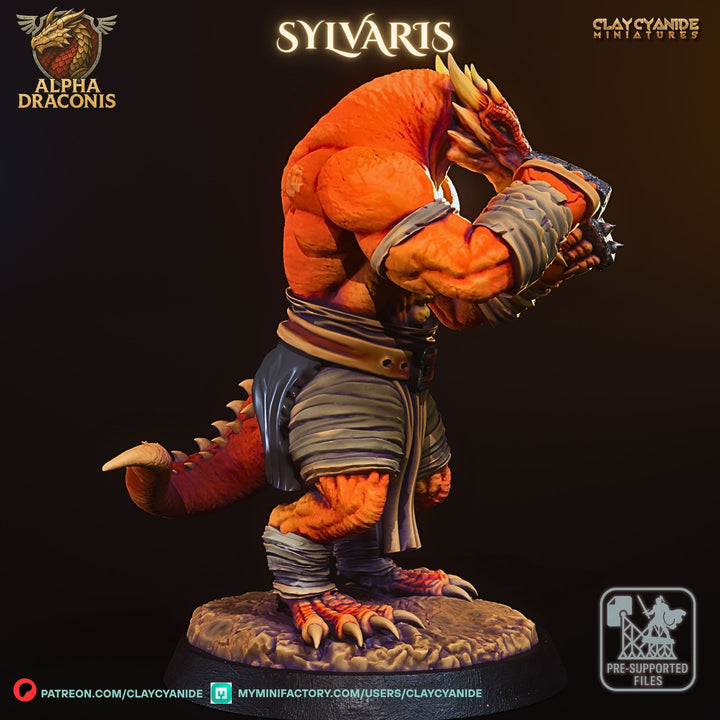 Sylvaris - Draconic Pugilist