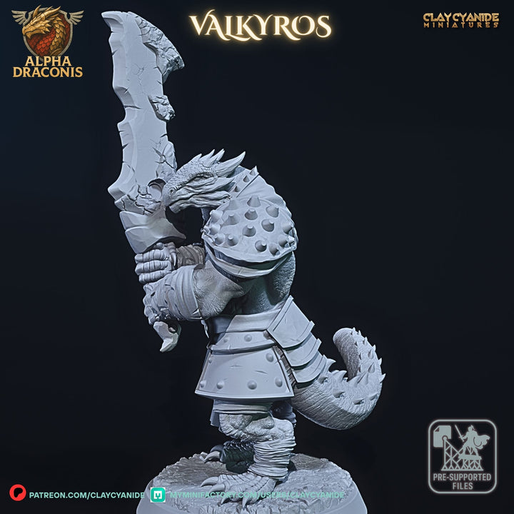 Valkyros - Draconic Fighter