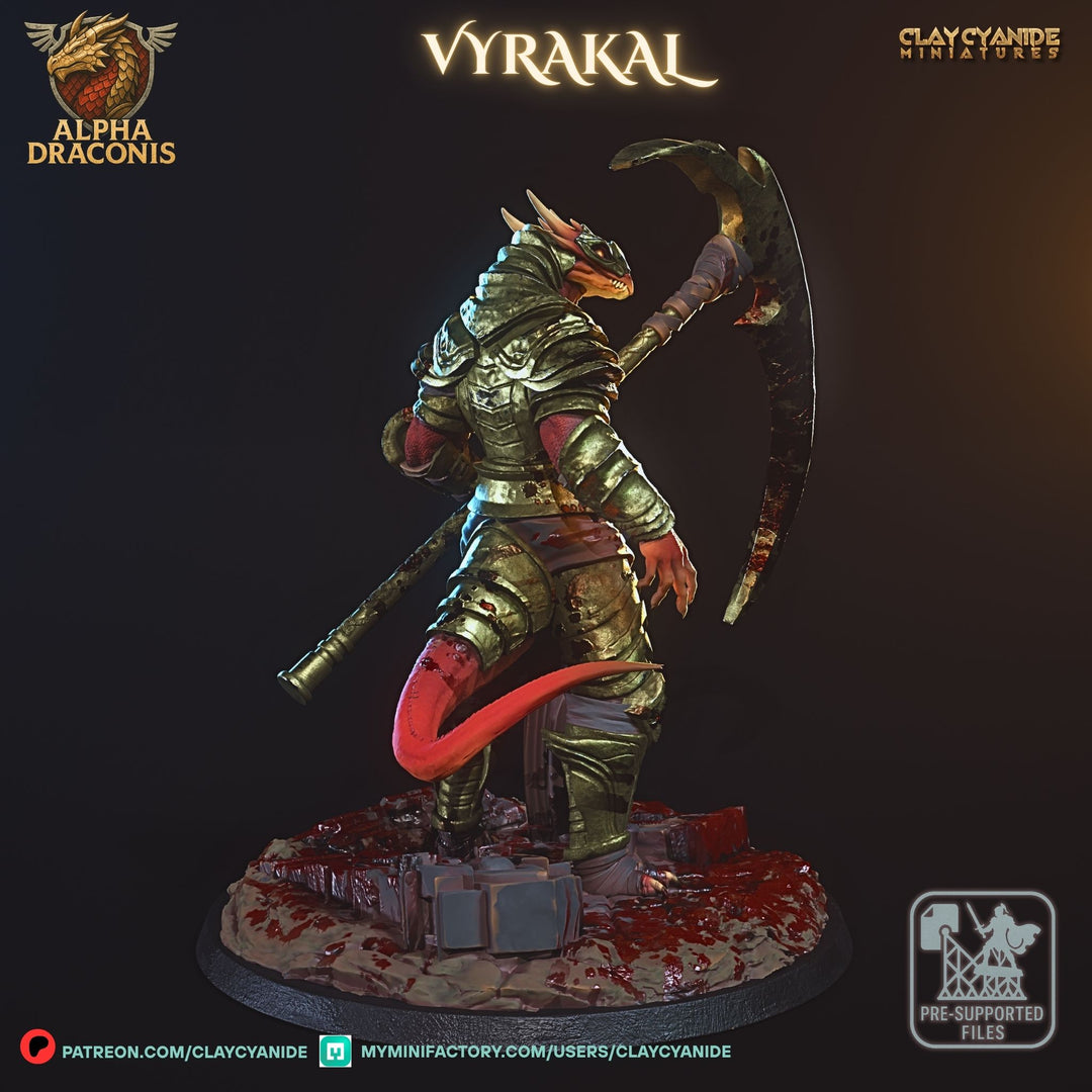 Vyrakal - Draconic Fighter