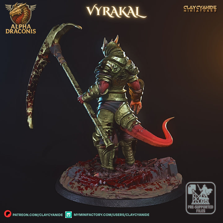 Vyrakal - Draconic Fighter