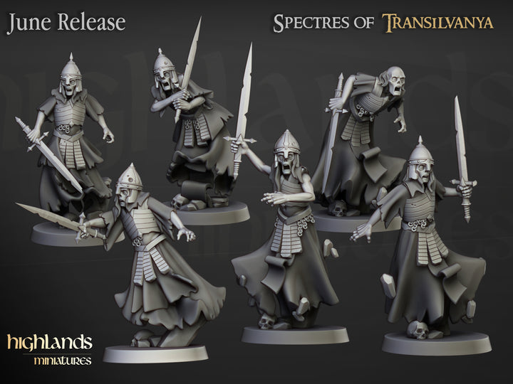 Wraith Unit unpainted resin undead miniature by Highlands Miniatures, 28-32mm DnD tabletop model.