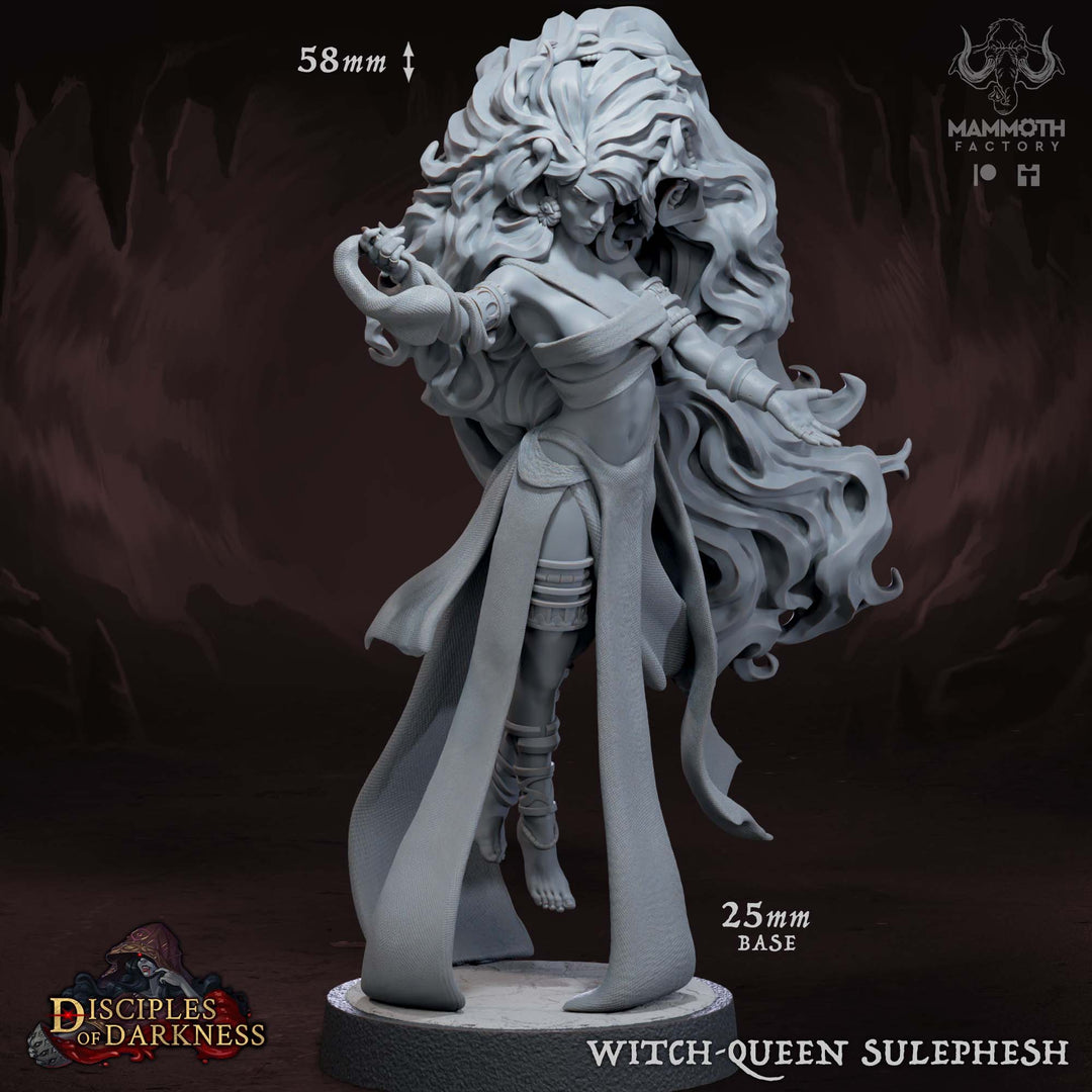 Disciples of Darkness : dark descent Chapter 6 - Bundle