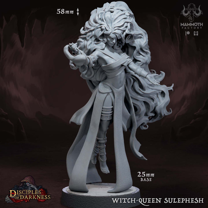 Disciples of Darkness : dark descent Chapter 6 - Bundle